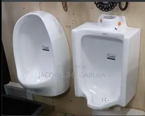 Urinal Toilets
