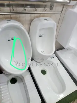 Urinal Toilets