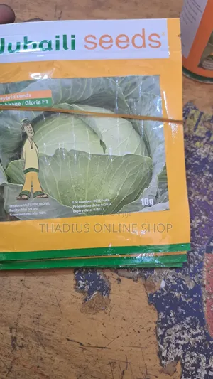 Jubaili Gloria F1 Cabbage Super Fast Grow