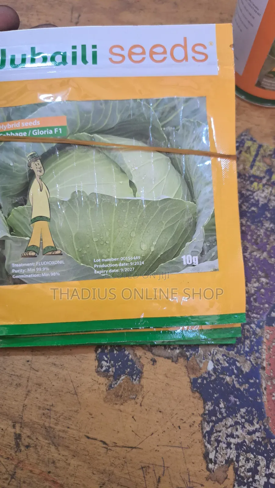 Jubaili Gloria F1 Cabbage Super Fast Grow
