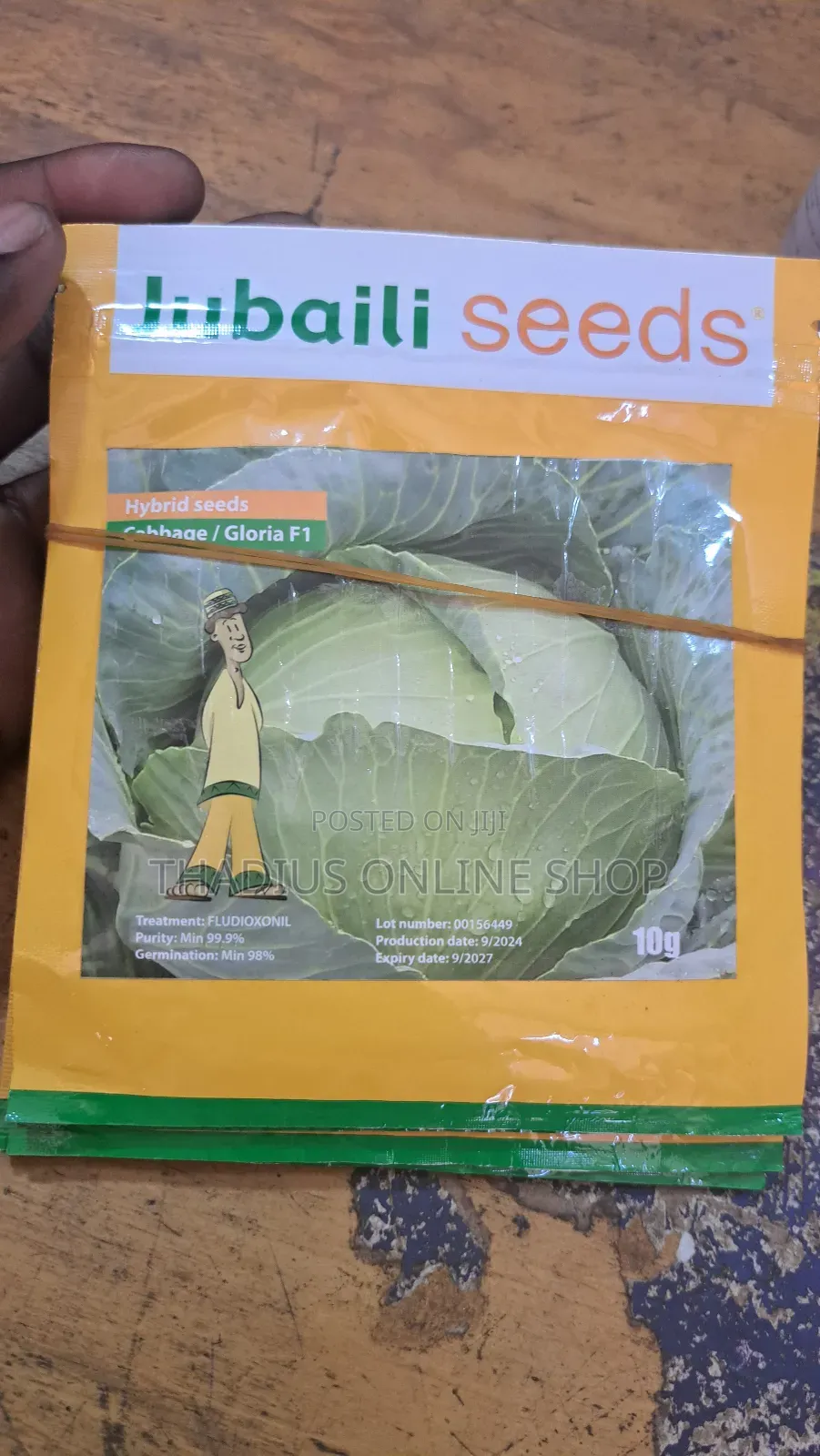 Jubaili Gloria F1 Cabbage Super Fast Grow