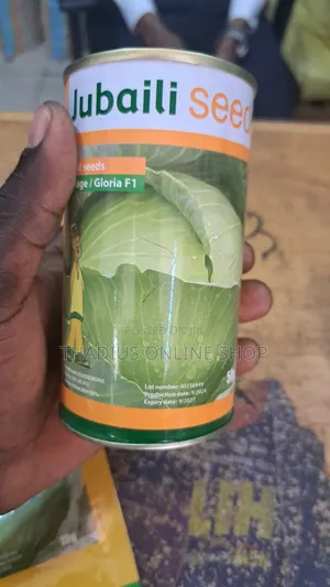 Jubaili Seeds Gloria F1 Cabbage Fast Grow Seeds