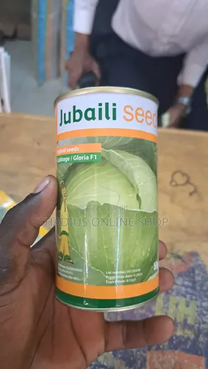 Jubaili Seeds Gloria F1 Cabbage Fast Grow Seeds
