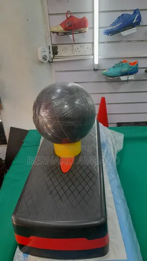 Spalding Nba Basketball