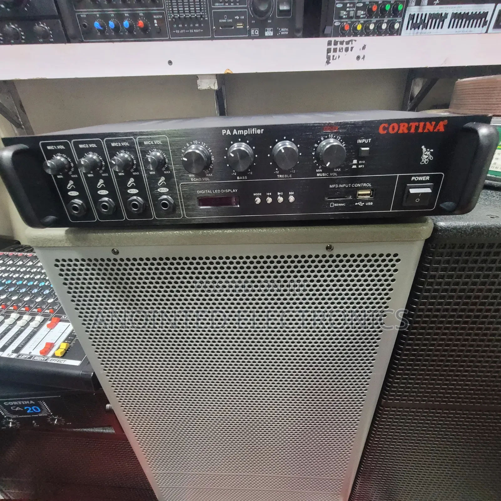 Cortina Amplifier