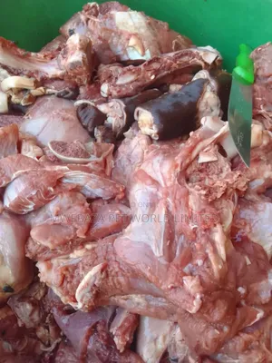 Beef for Dogs