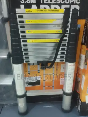 Telescopic 12 Steps Ladder