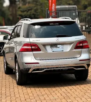 Mercedes-Benz M Class 2014 Silver