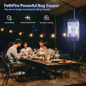 DPS Indoor and Outdoor Electric Fly Mosquito Killer