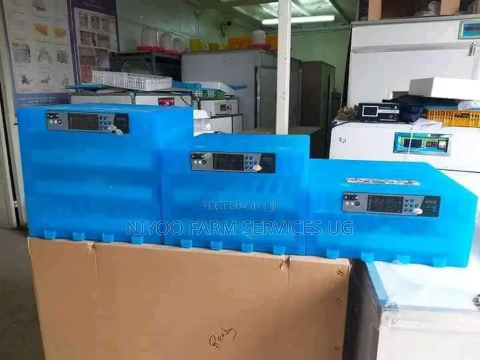 Incubator for Sale