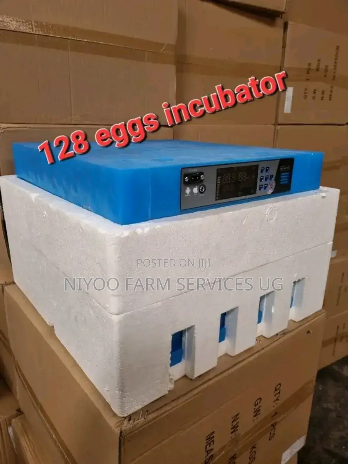 Incubator for Sale