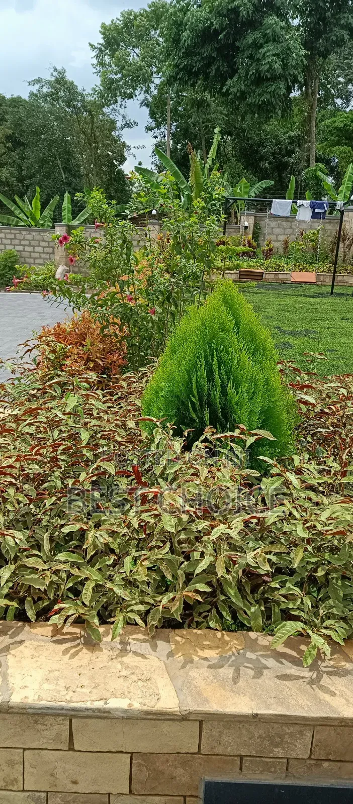 Land Scaping Services That Enhance Your Compounds Beauty