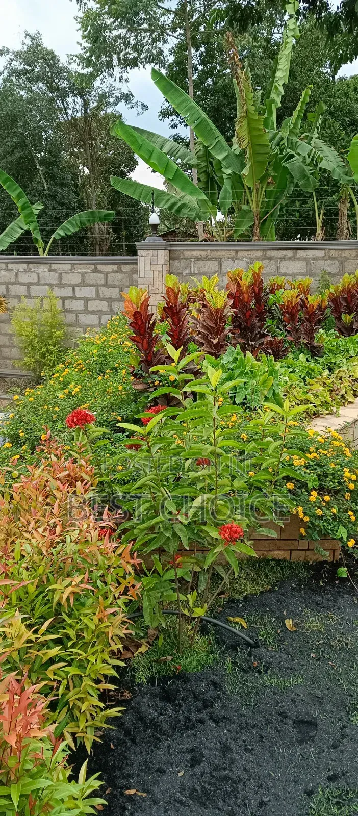 Land Scaping Services That Enhance Your Compounds Beauty
