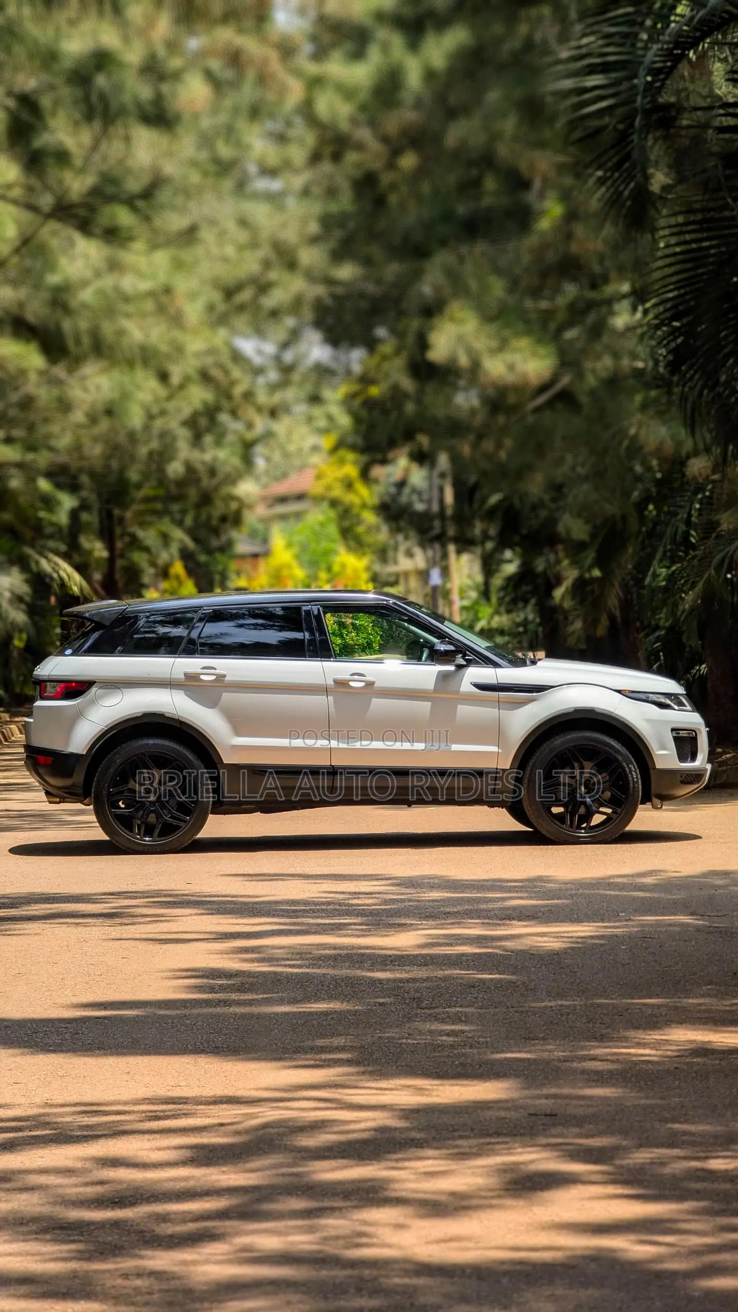 Land Rover Range Rover Evoque 2016 White