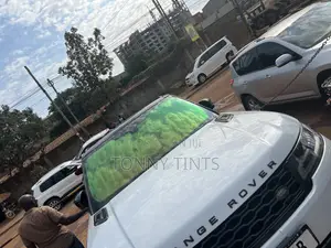 Chameleon Tint