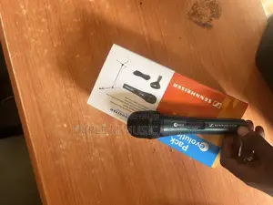 Seneheizer Wire Microphone