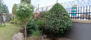 Land Scaping That Add Absolute Beauty and Value to Your Property
