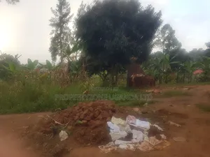 Titled Half Acre, Opp Vegas in Kawempe for Sale