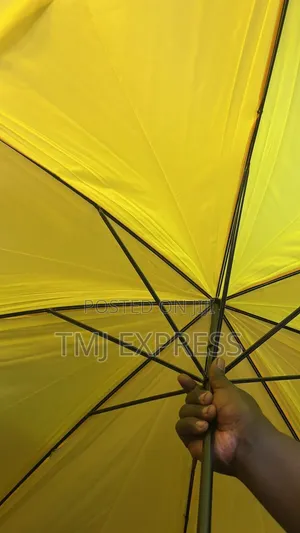 Campaign Yellow Umbrellas