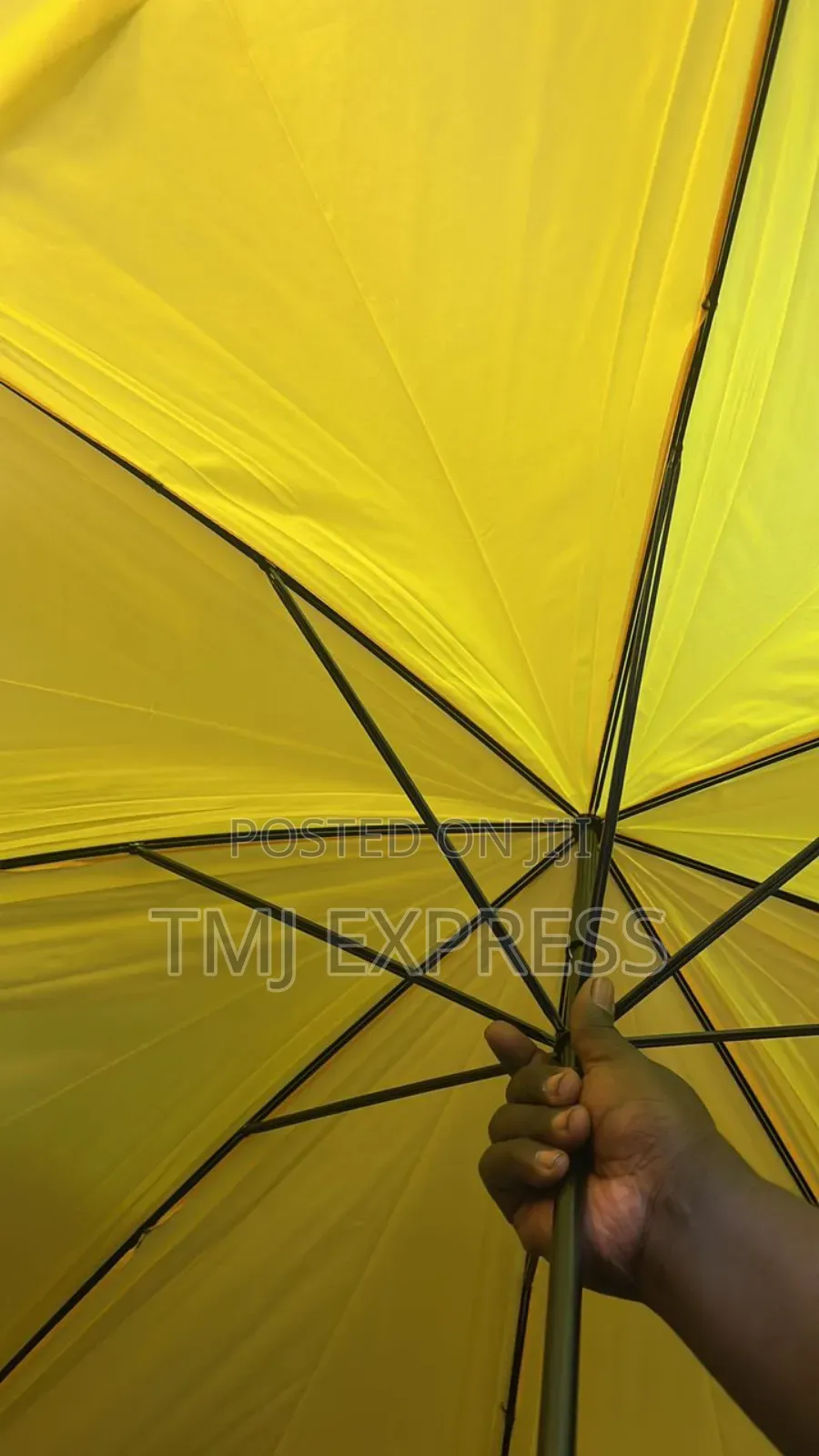 Campaign Yellow Umbrellas