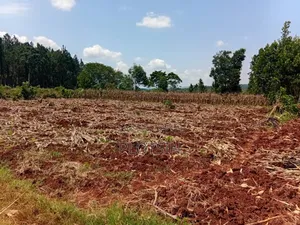 2 Acres Riverfront Land With Small Falls_freehold Title,Jinja City
