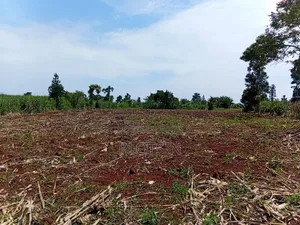 2 Acres Riverfront Land With Small Falls_freehold Title,Jinja City