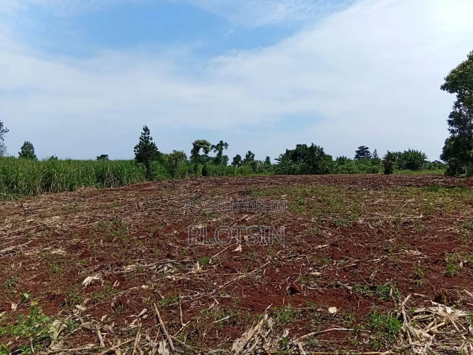 2 Acres Riverfront Land With Small Falls_freehold Title,Jinja City