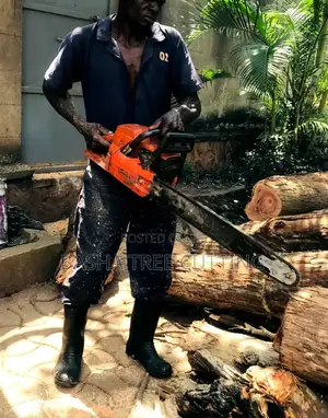 Trees Cutting