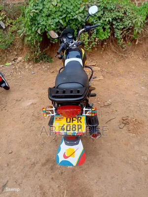 Bajaj Boxer 125 2024 Green