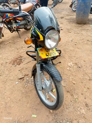 Bajaj Boxer 125 2024 Green