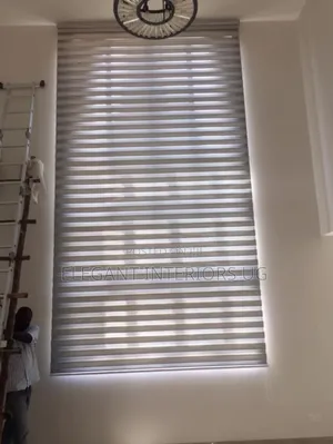 Elegant Roller Blinds Mostly Used in Office Windows