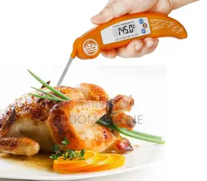 Unique Instant Digital BBQ Grill Thermometer