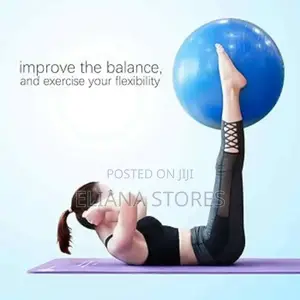 Exercise Yoga Ball