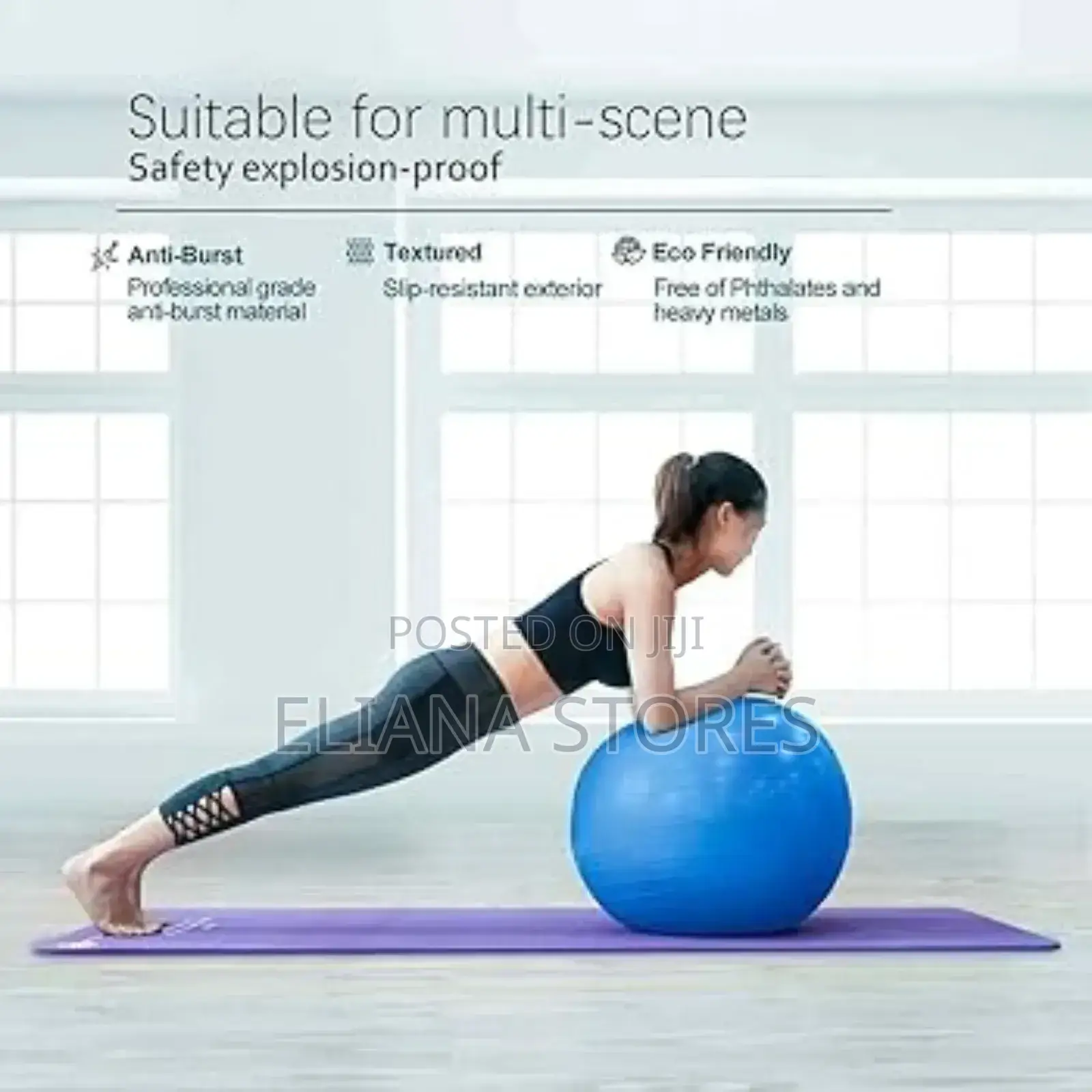 Exercise Yoga Ball