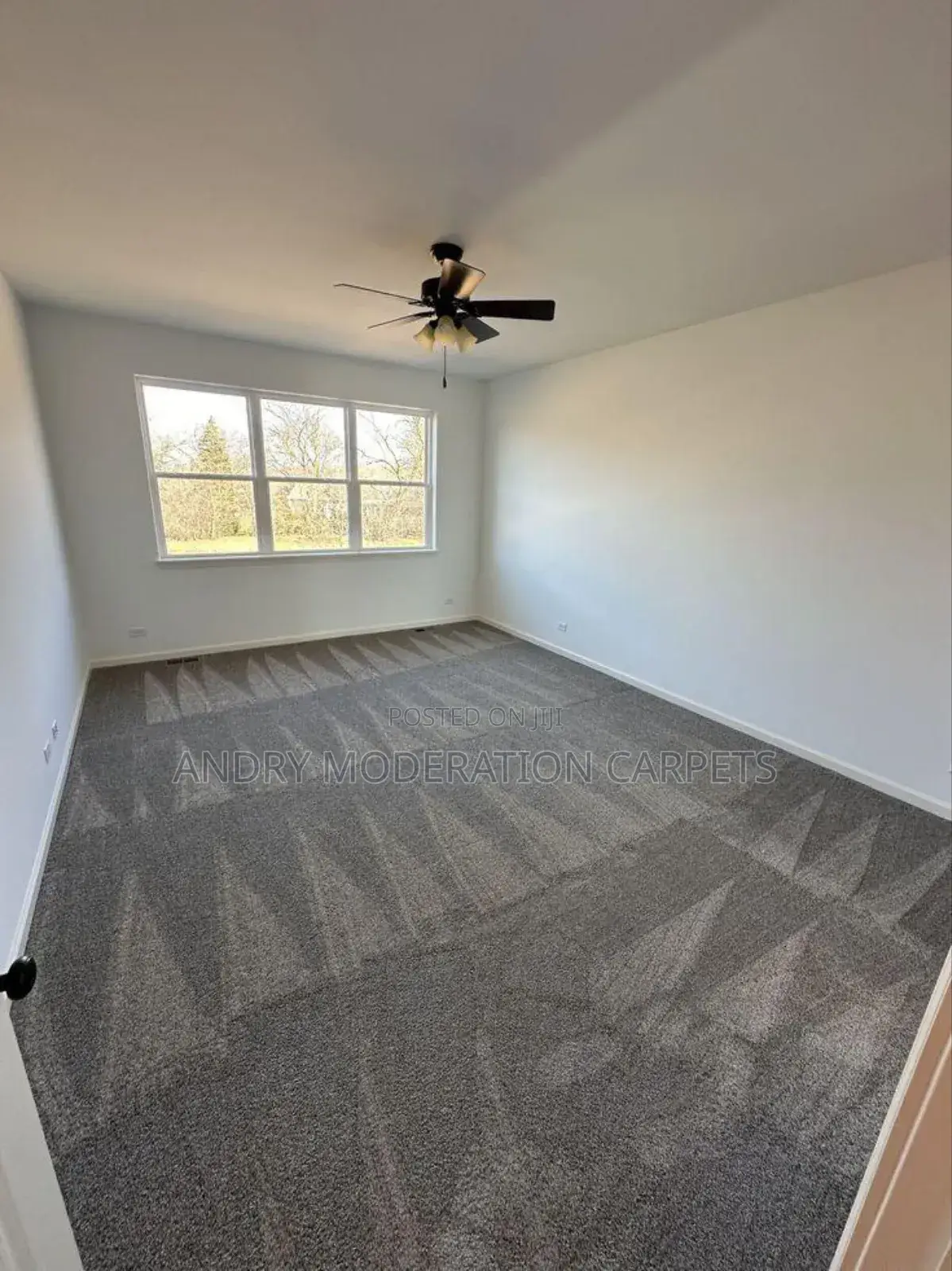 America Soft Touch Galaxy Woolen Carpets