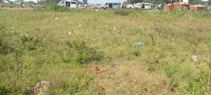 Plots for Sell