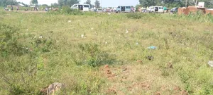 Plots for Sell