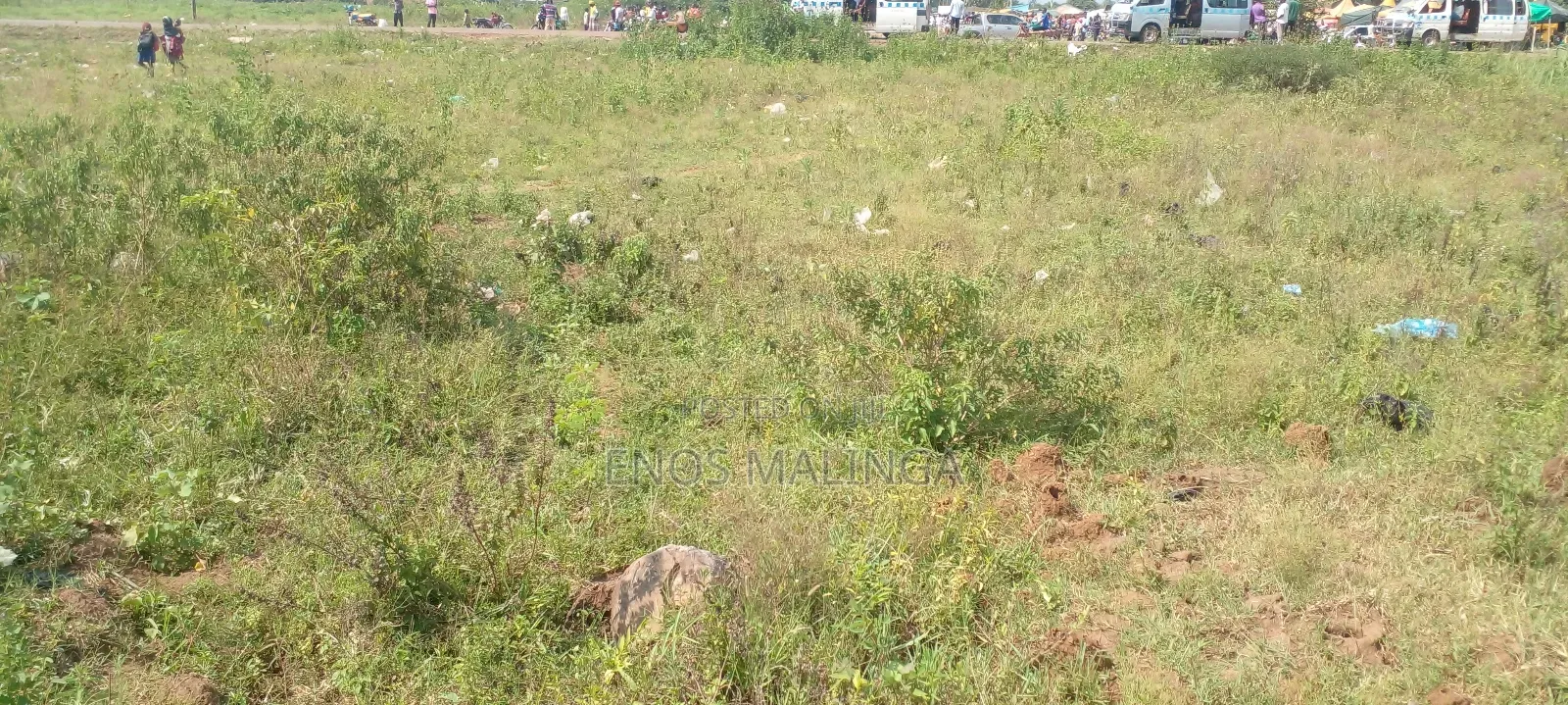 Plots for Sell