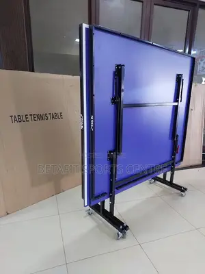 Table Tennis Table (Original)
