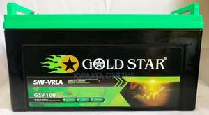 100ah Gold Star Vrla Battery 12v. Gsv100