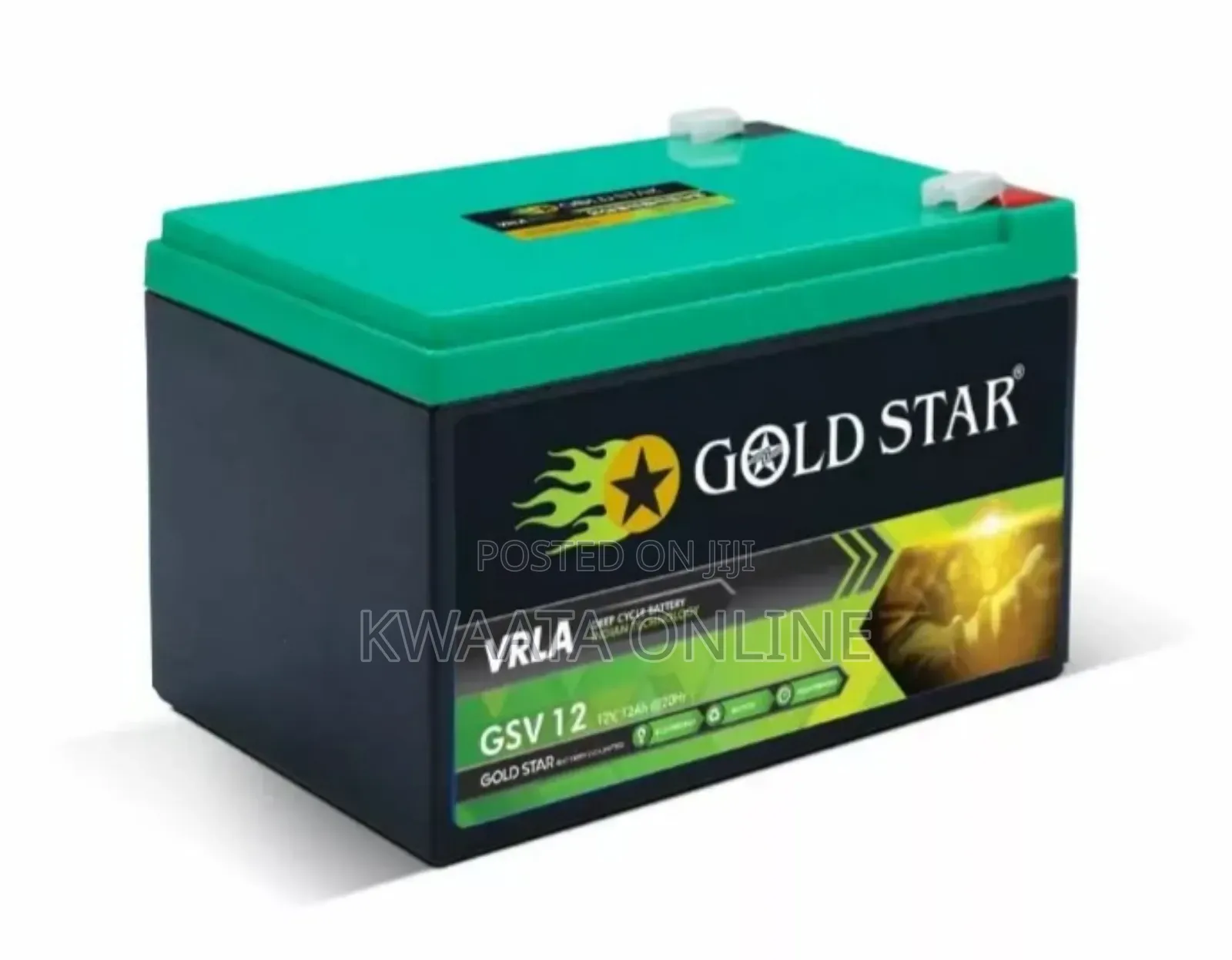 100ah Gold Star Vrla Battery 12v. Gsv100