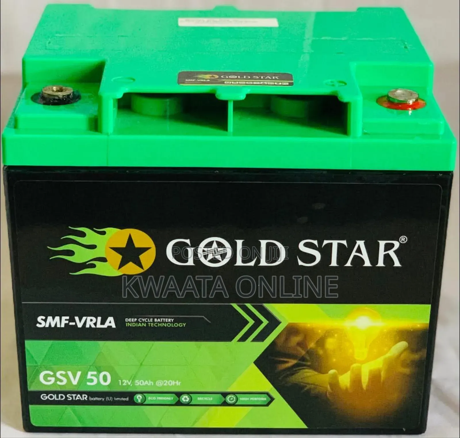 100ah Gold Star Vrla Battery 12v. Gsv100