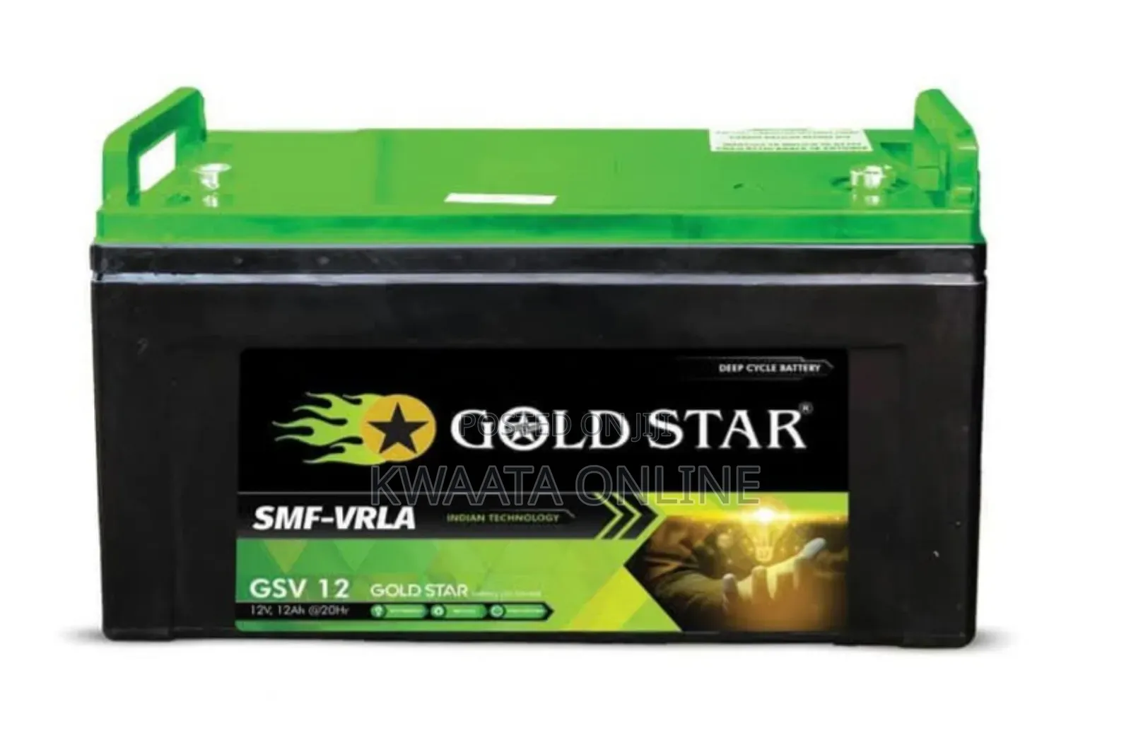 100ah Gold Star Vrla Battery 12v. Gsv100