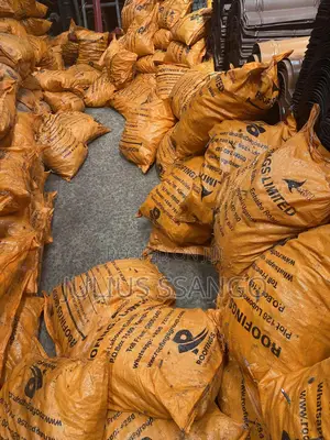 Timber Nails ( 50kgs From 2.5” —-6” )