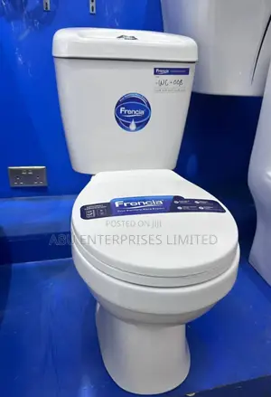 Toilet Seat Starter Ordinary Pan