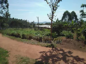 20 Acres at Kasanje, 75m Per Acre