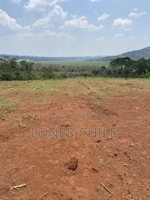Prime Estate Land In Nkokonjeru