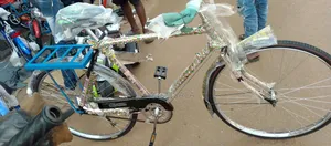 Kid Ride Adult Bicycle