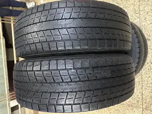 215/70r16 Dunlop Tyres Japan