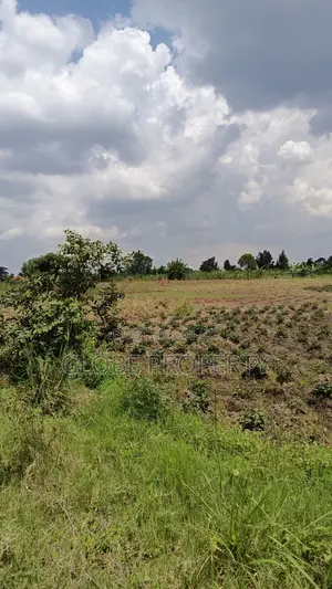 4 Acres of Farm Land for Sale in Ndese Nakifuma